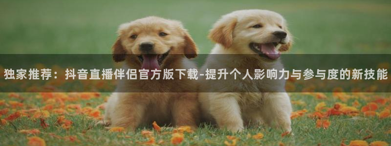 河豚在线nba直播