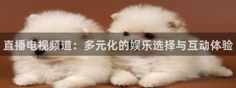 河豚体育在线观看直播：直播电视频道：多元化的娱乐选择与互动体验
