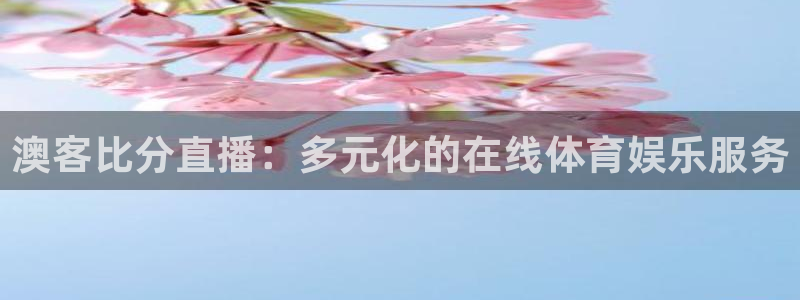 nba直播河豚：澳客比分直播：多元化的在线体育娱乐服务