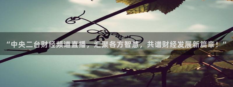 河豚体育直播cba免费下载：“中央二台财经频道直播，汇聚各方智慧，共谱财经发展新篇章！”