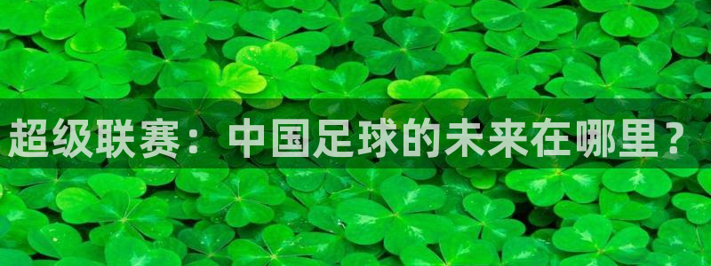 河豚体育篮球直播：超级联赛：中国足球的未来在哪里？